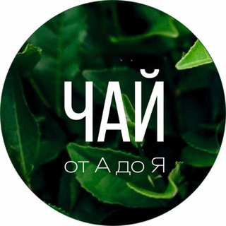 Логотип @zen_chai - Чай от А до Я