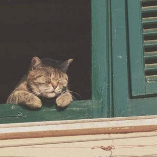 Логотип @zenotebook - 🦥