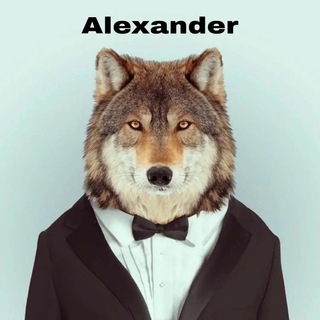 Логотип @zeraokda - ZERA Channel