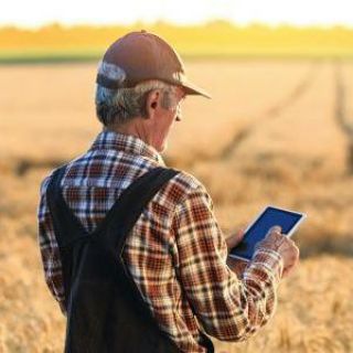 Логотип @zerno_ua2015 - 🚜 Спільнота Фермирів 🌾 🇺🇦