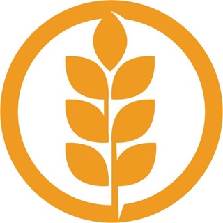 Логотип @zernotrader - 🌻ЗЕРНОТРЕЙДЕР 🇷🇺