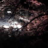 Логотип @zeuslev - переходник