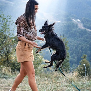 Логотип @zhannadoglover - Я СОБАЧНИК // воспитание и дрессировка