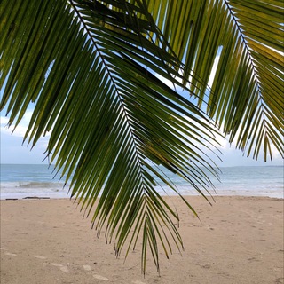 Логотип @zhara_phuketa1 - Пхукет Трэвел