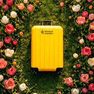 Логотип @zhchemodan - Жёлтый чемодан