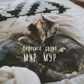 Логотип @zhdusoldata - Армия-это временно