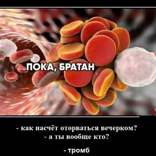 Логотип @zhenskoeschastye_rk - Стоп-возраст