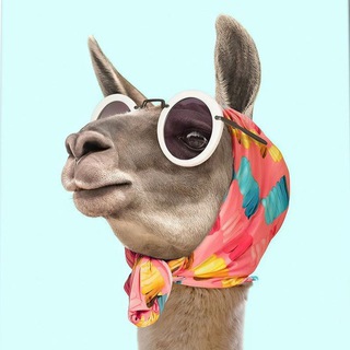 Логотип @zhenskyy - Женская Корпорация ⚜️