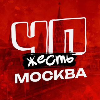Логотип @zhest_dtp99 - zhest_dtp99