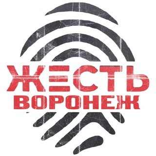Логотип @zhest_voronezh136 - Жесть Воронеж
