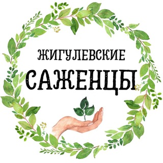 Логотип @zhigulevskiesazhentsy - Питомник растений Жигулевские саженцы с. Александровка