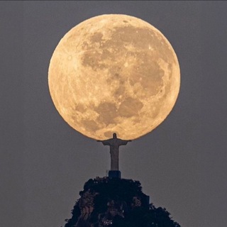 Логотип @zhit_na_zemle - В лучшем мире