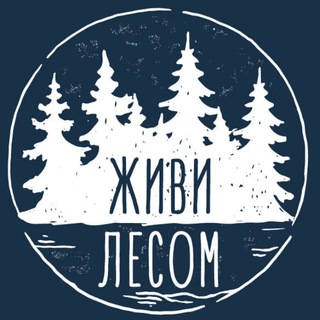 Логотип @zhivi_lesom - Живи Лесом | Аренда домов за городом