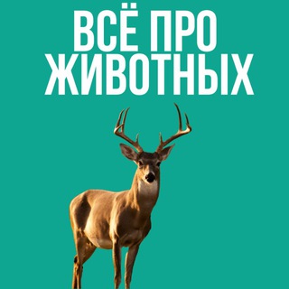 Логотип @zhivotnieee - Всё про животных