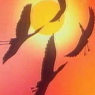 Логотип @zhivotnyimir - В мире животных