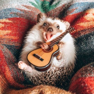 Логотип @zhivotnyyye - Интересные животные 🐼