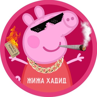 Логотип @zhizhahumor - Жижа Хадид