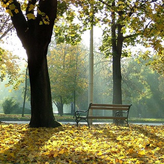 Логотип @zhkhvopros - ЖКХ: вопросы и ответы