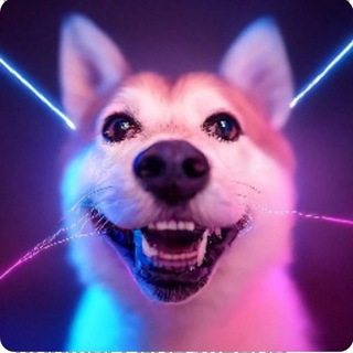 Логотип @zhuchka_des - Дизайн и жучка