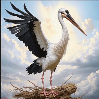 Логотип @zhurvesti - Журавлиные Vести