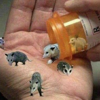 Логотип @zhyazh - жябка