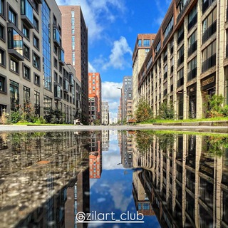 Логотип @zilart_club - zilart_club