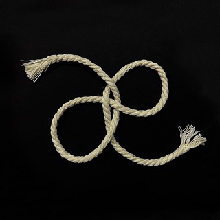 Логотип @zilkovae - Зилков æ