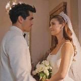 Логотип @zimarodokk - zimarodokk