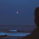 Логотип @zimneeutro_group - .