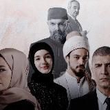 Логотип @zimorodoc1 - zimorodoc1