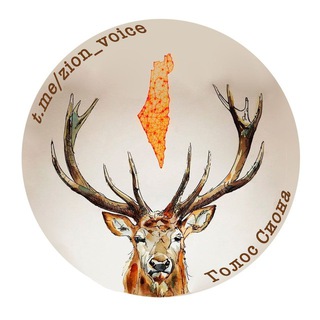 Логотип @zion_voice - Голос Сиона🇮🇱