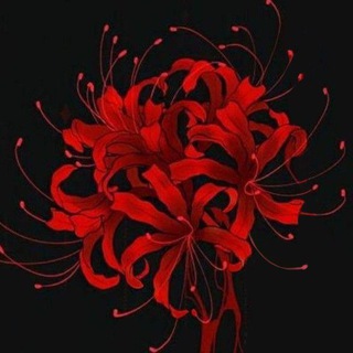 Логотип @zirconw - Циркон