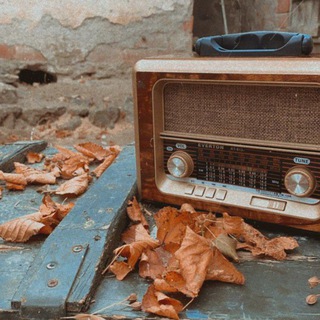 Логотип @zirzaminhub - Zirzamin