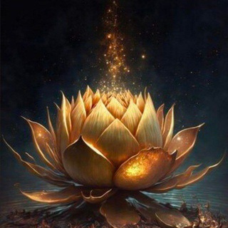 Логотип @zitate_robinkaiser - Robin Kaiser - Zitate