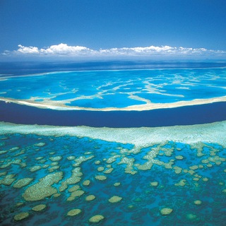 Логотип @zitaty_mysli - ЦИТАТЫ. ИСТОРИИ. КНИГИ