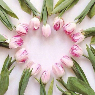 Логотип @zlatozvet - Позитив и мотивация 🌿