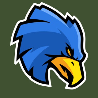 Логотип @zliptakhy - "Злі Птахи" - загін ударних БпЛА 💥