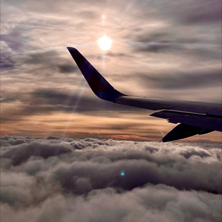 Логотип @zln555 - КСА🌴🌴