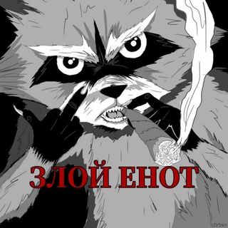 Логотип @zloyenotishe - Злой енот
