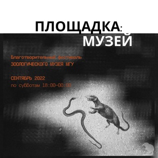 Логотип @zmmufest - Площадка: Музей
