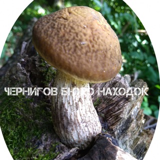 Логотип @znahidkaa - Чат Чернигов Бюро находок