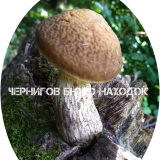 Логотип @znahodka - Чернигов Бюро находок