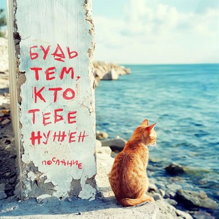 Логотип @znakomstva_rus - Рубцовский чат 🐈‍⬛