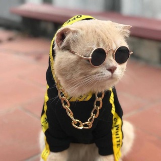 Логотип @znatycik02 - Скидки, акции для всех