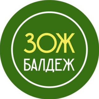 Логотип @zogbal - ЗОЖ балдеж! 🥝