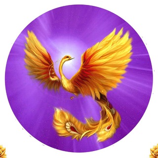 Логотип @zoloto_fenix_club - Клуб осознанных путешествий Золотой Феникс (Ростов-на-Дону) ☀️