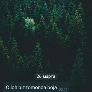 Логотип @zolotoy_zona - Z̫͙̫̾̾̾̾o̫͙̫̾̾̾̾ℓ̫͙̫̾̾̾̾o̫͙̫̾̾̾̾t̫͙̫̾̾̾̾o̫͙̫̾̾̾̾ყ̫͙̾̾̾ Ζοηą