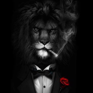 Логотип @zonefreud - ФРЕЙДЗОНА