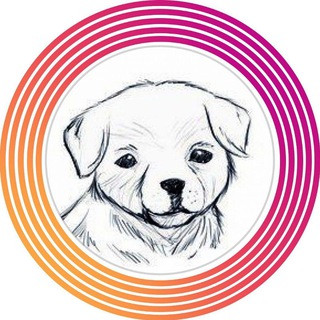 Логотип @zoo1_krsk - Первый зоомагазин Красноярск