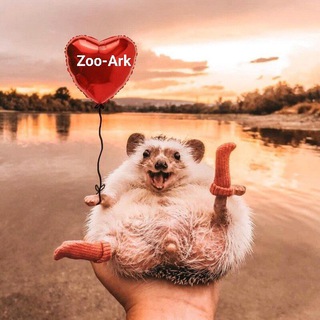 Логотип @zoo_ark - Zoo-Ark | мир пушистиков | домашние и дикие животные